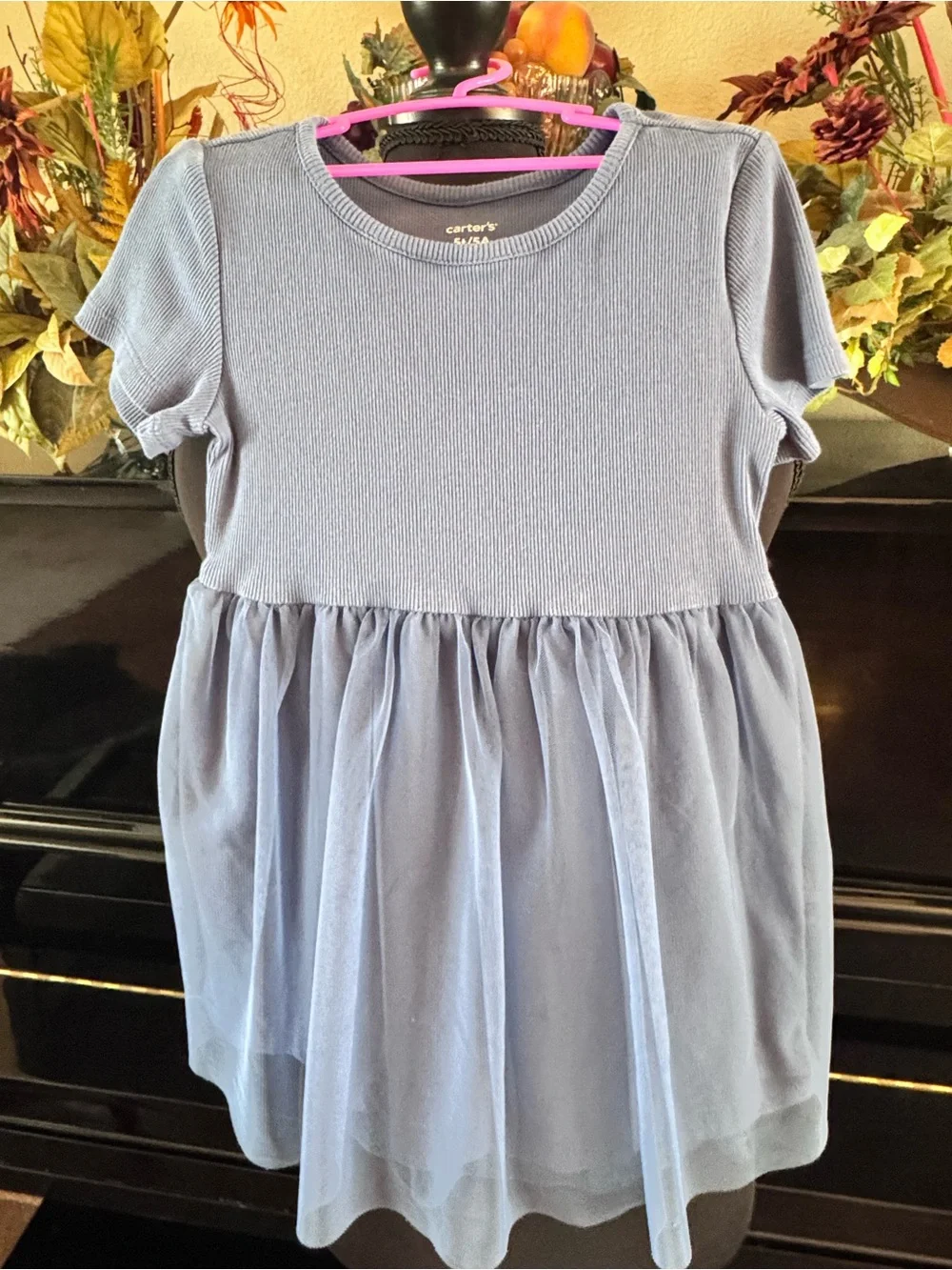 Carter's Blue Dress